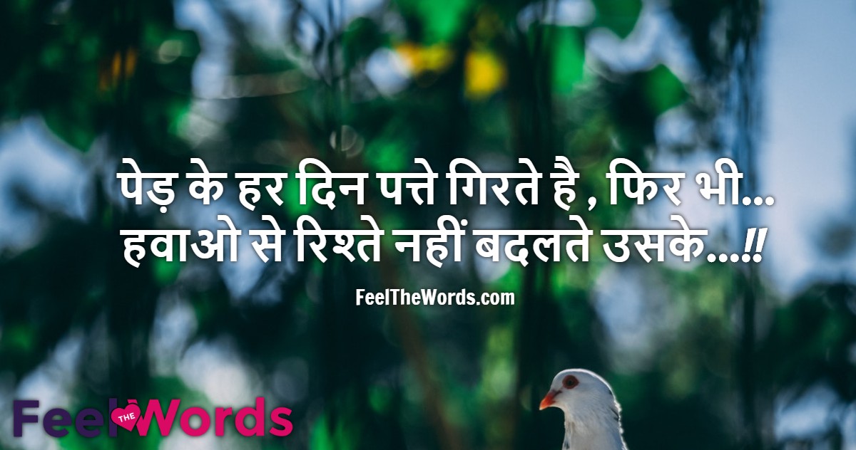 पेड़ के हर दिन पत्ते गिरते है फिर भी