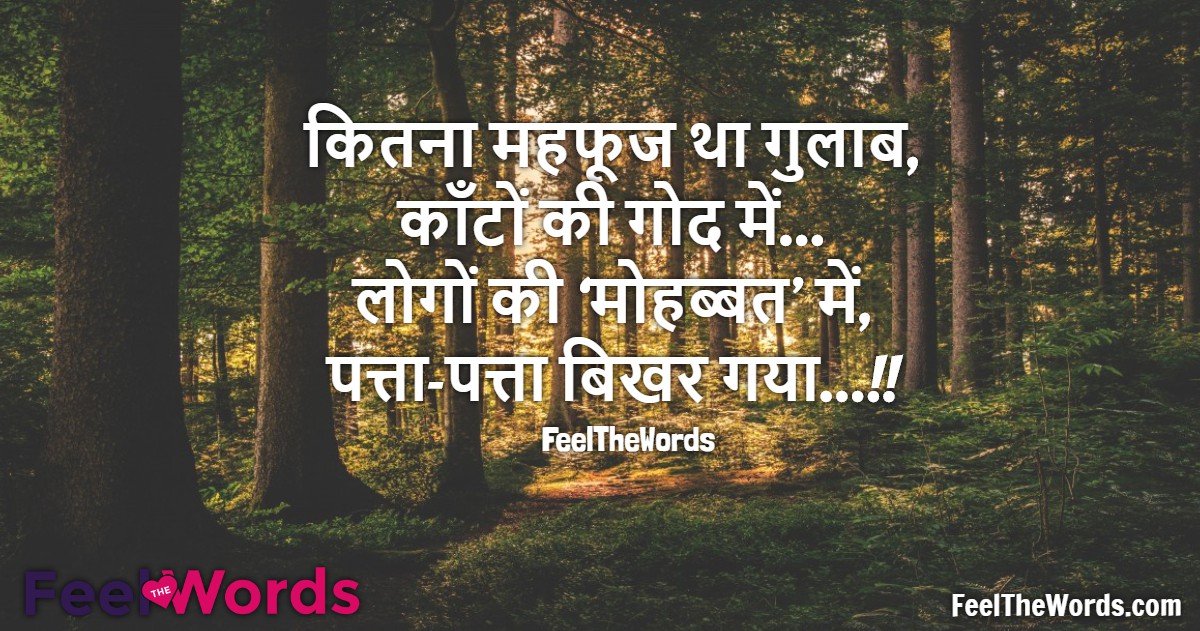 कितना महफूज था गुलाब काँटों की गोद में