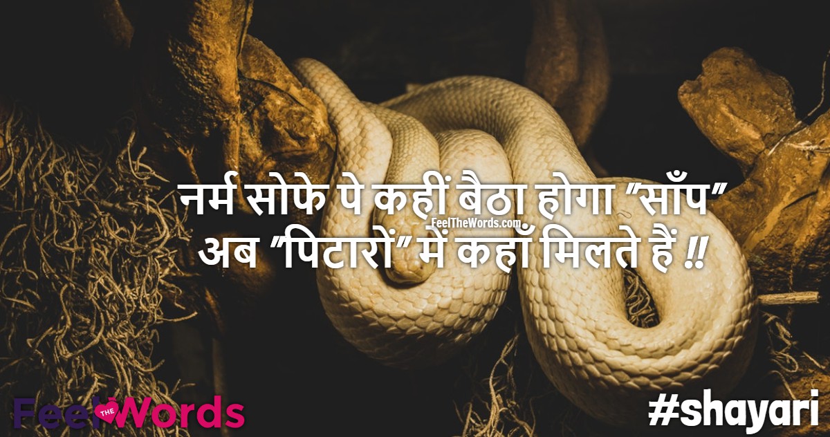 नर्म सोफे पे कहीं बैठा होगा साँप