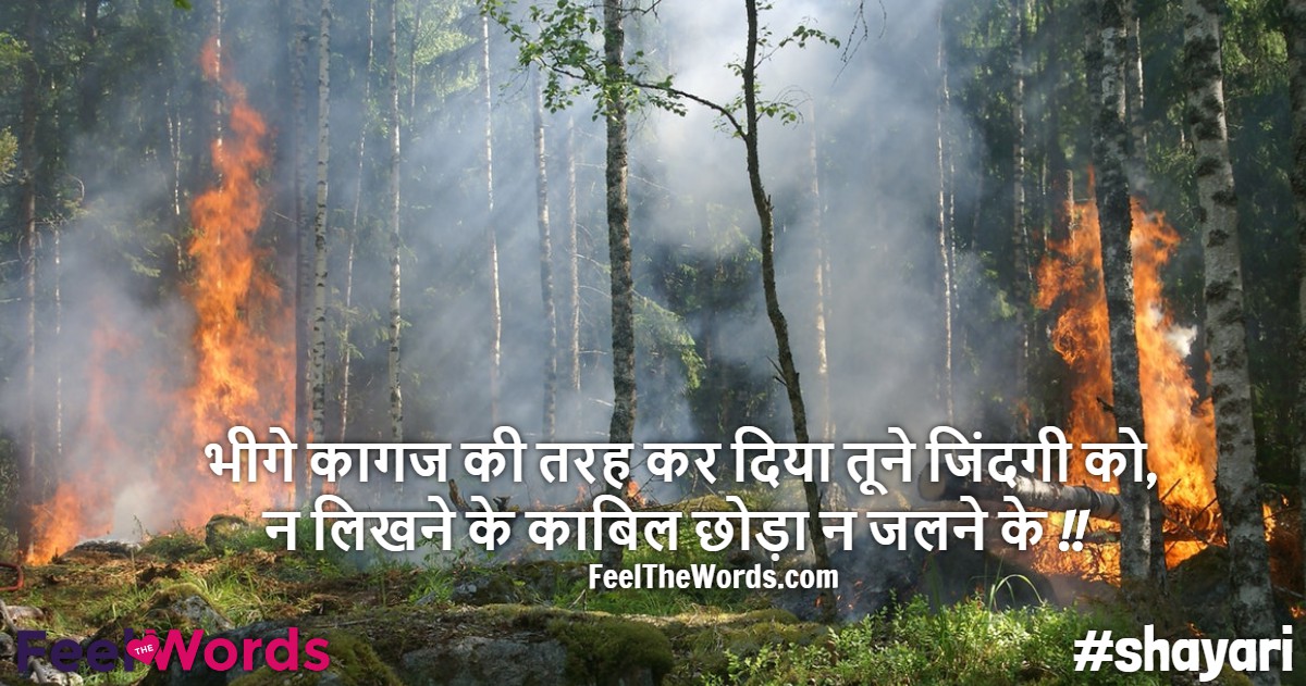 भीगे कागज की तरह कर दिया तूने जिंदगी को